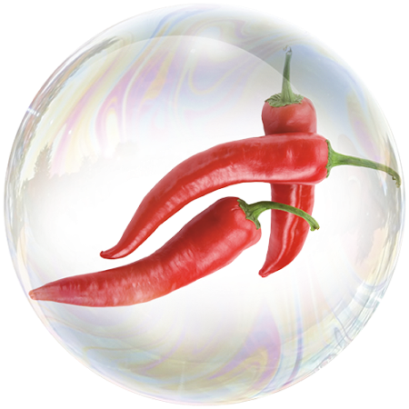 Hot pepper