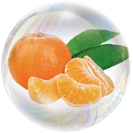 Mandarin (Citrus reticulata) 