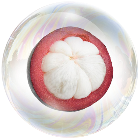 Mangosteen (Garcinia mangostana)